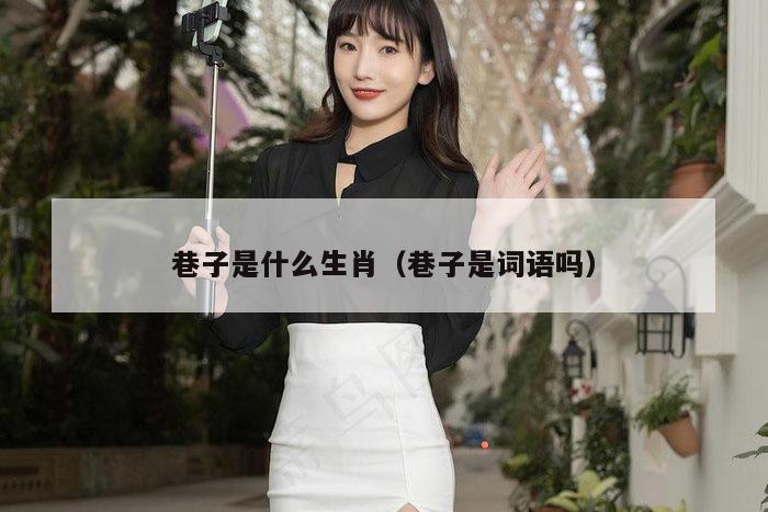巷子是什么生肖（巷子是词语吗）