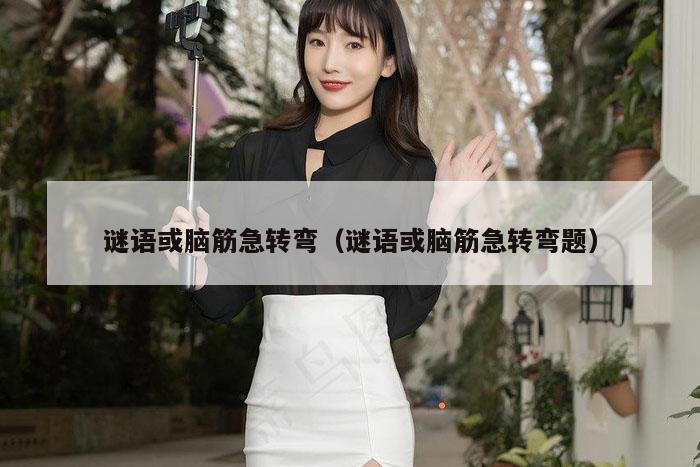 谜语或脑筋急转弯（谜语或脑筋急转弯题）
